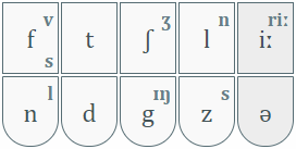 Phenrsteno coda