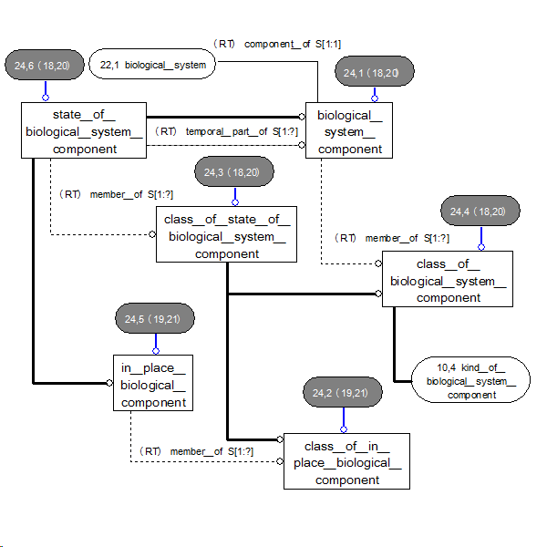 Diagram 24