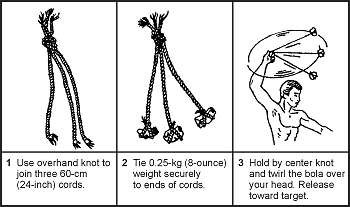 Figure 12-7. Bola