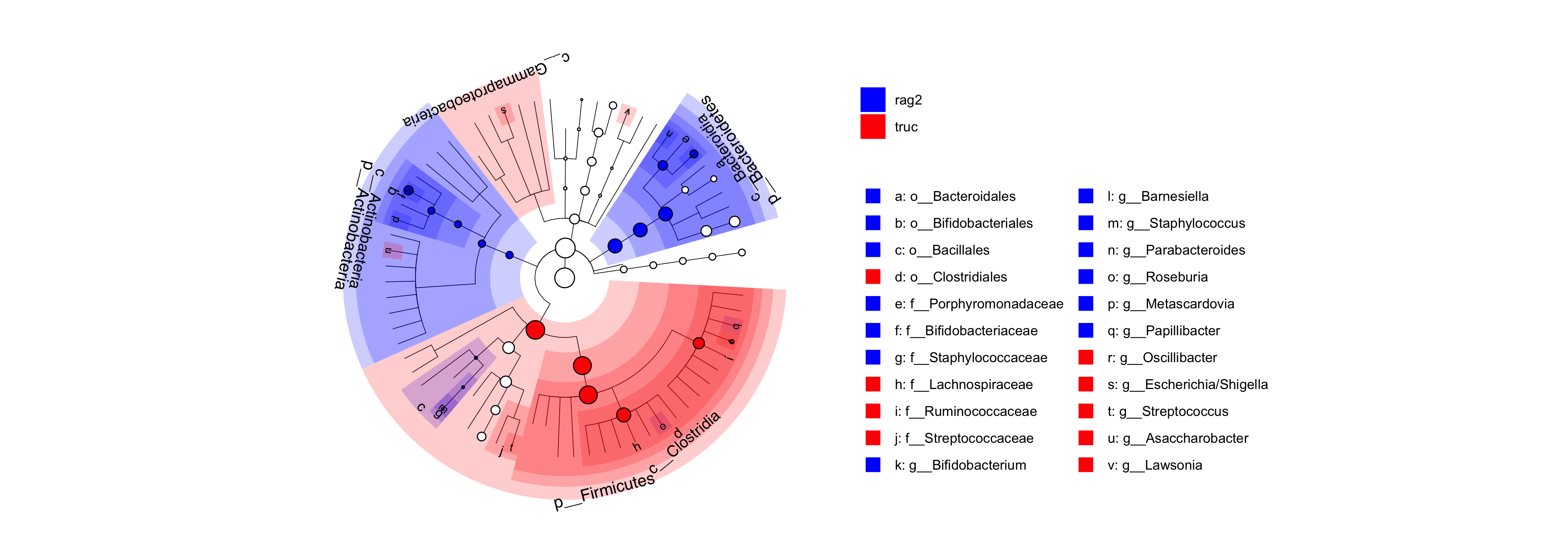 README-cladogram-1.png